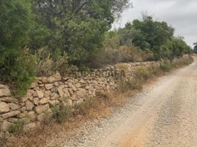 Terreno rústico de 6.120 m2 no Algarve