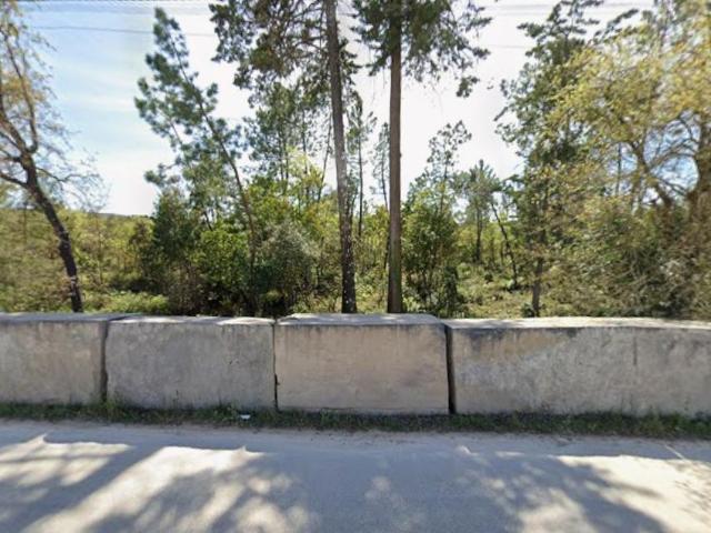 Terreno Rústico de 70000 m2 na Carrasqueiras Casal Farto