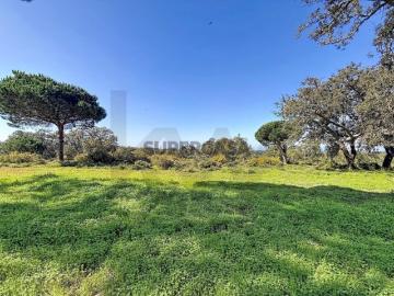 Terreno rústico de 80.000m2 com viabilidade de construção, em Sesimbra