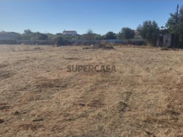 Terreno Rústico de 9.680 m² na Falfosa junto à Via do Infante!