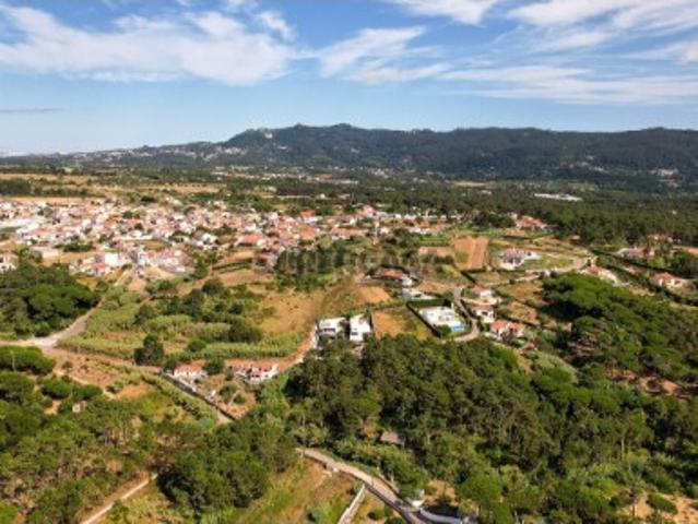 Terreno rústico de pinheiros perto das praia de Sintra