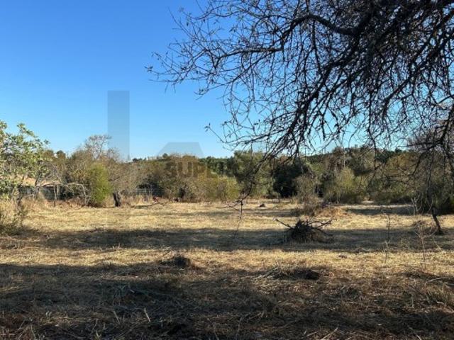 Terreno Rústico de relevo plano com 3.660m² de área em Ribeira Baixa, Algoz