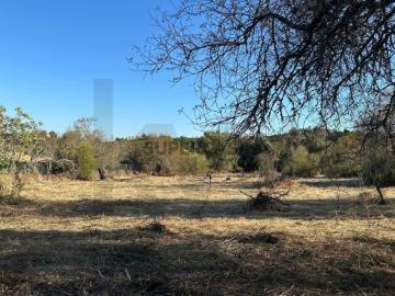 Terreno Rústico de relevo plano com 3.660m² de área em Ribeira Baixa, Algoz