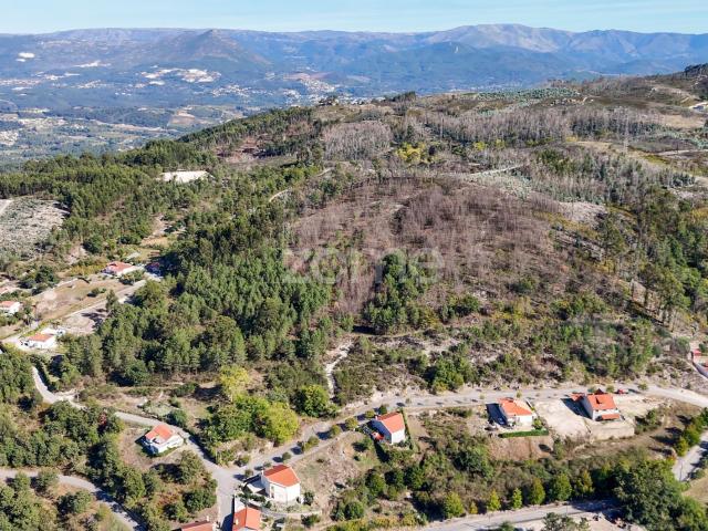 Terreno rústico de vocação florestal com 20.000 m²