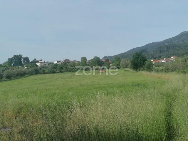 Terreno Rústico e Casas com vista para a Serra do Caramulo