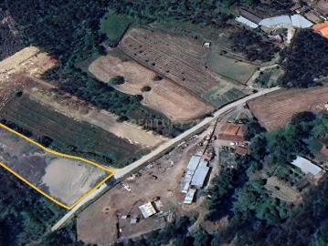 Terreno Rústico em Coimbra Oportunidade Única por 12.990€