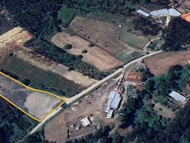 Terreno Rústico em Coimbra Oportunidade Única por 12.990€