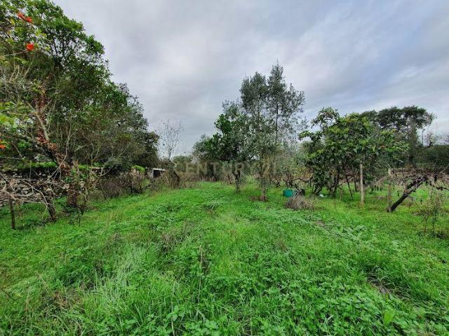 Terreno Rústico em Carapuça Gonçalo, Guarda com Vista Panorâmica