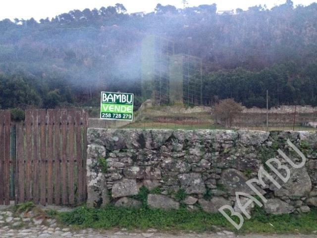 Terreno Rústico em Cristelo