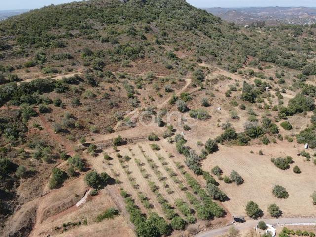 Terreno Rústico em Amorosa com poço de água e 27.160m2 de área