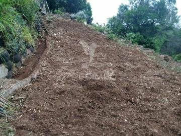 Terreno rústico em Água de pena