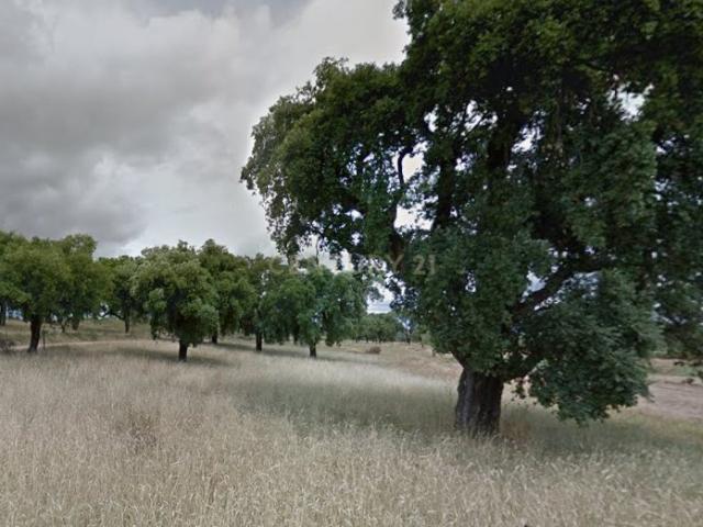Terreno Rústico na Aldeia de Santa Margarida, Idanha a Nova