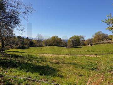 Terreno Rústico em Asnela Cabeceiras de Basto – 2800m² de Natureza e Potencial no Coração do Minho