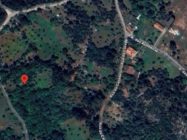 Terreno Rústico em Boleiros Fátima