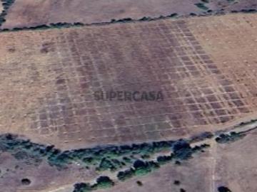 Terreno rustico em Bagueixe Macedo de Cavaleiros