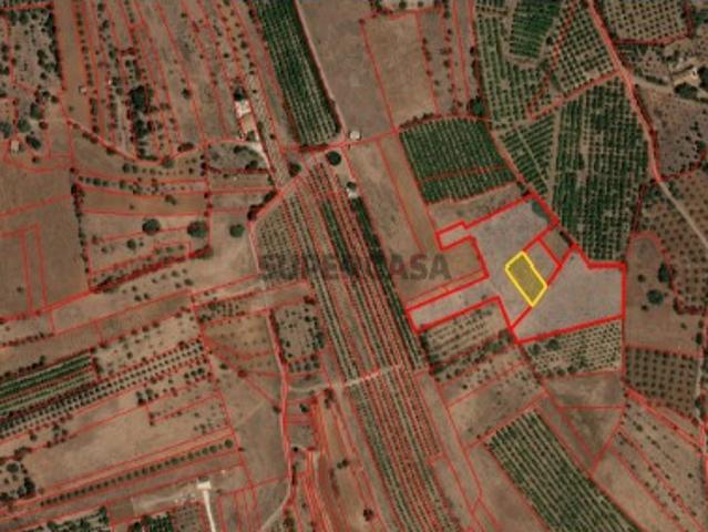 Terreno Rustico em Barrocal
