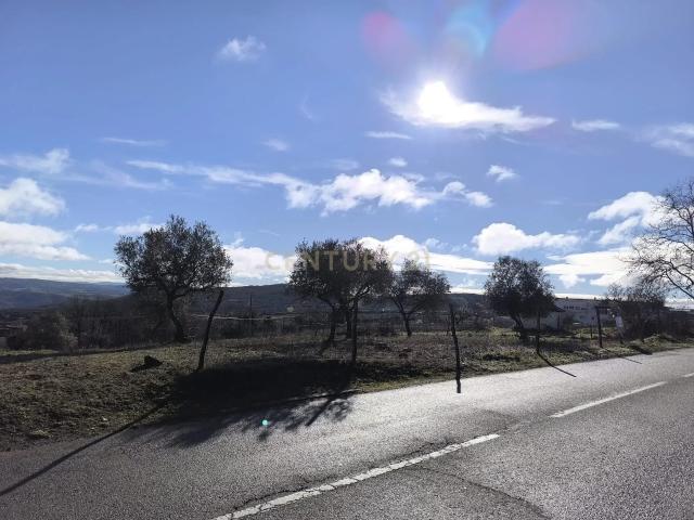 Terreno Rústico em Bragança Oportunidade Única por 80.000€