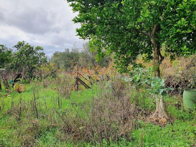 Terreno Rústico em Gonçalo, Guarda 39.000€