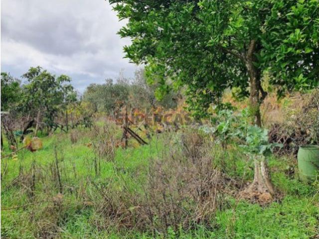 Terreno Rústico em Gonçalo, Guarda 39.000€