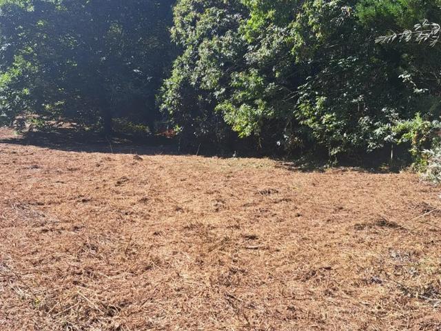 Terreno Rústico em Gondomar Oportunidade Única por 75.000€