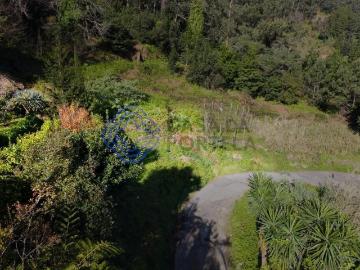 Terreno Rústico em Espaço Florestal Misto — Achada do Loural, São Vicente, Madeira