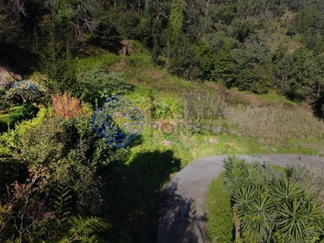 Terreno Rústico em Espaço Florestal Misto — Achada do Loural, São Vicente, Madeira