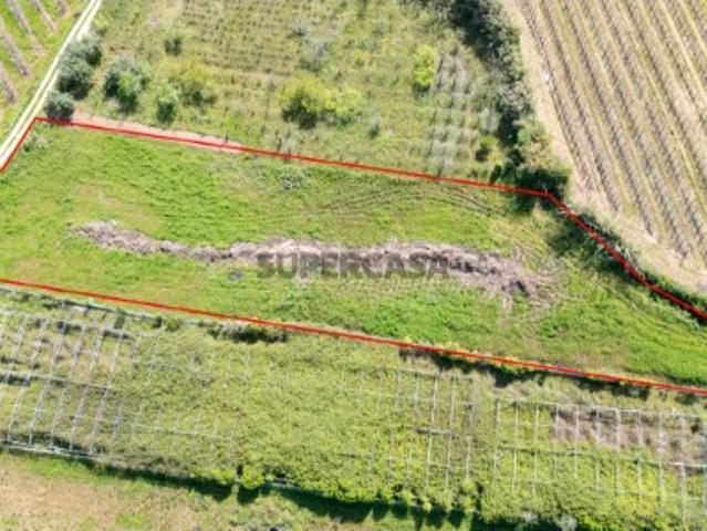 Terreno Rustico em Évora de Alcobaça