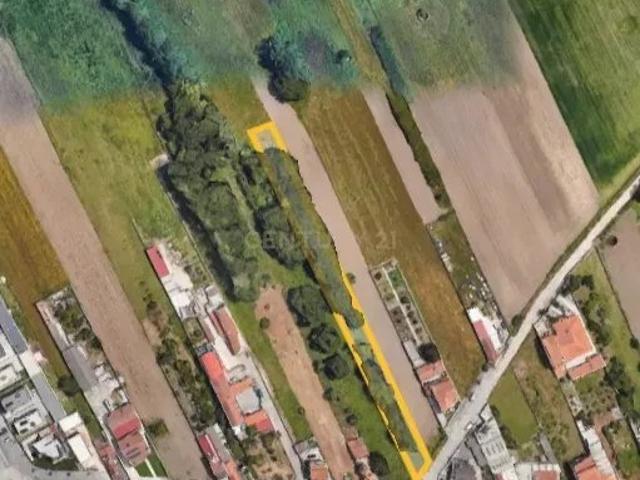 Terreno Rústico em Ílhavo com Viabilidade de Construção