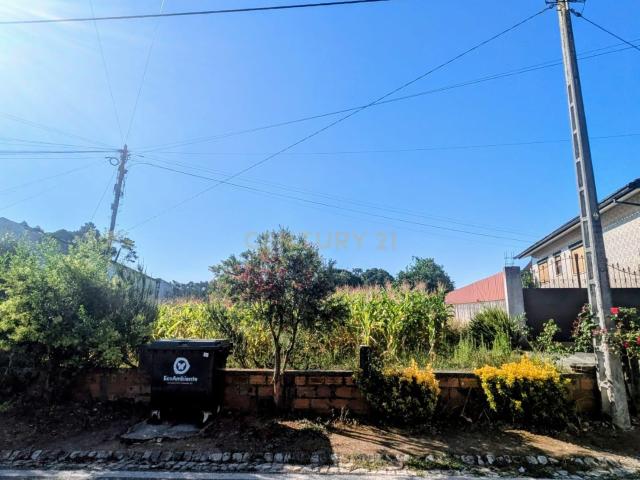 Terreno Rústico em Oliveira do Bairro