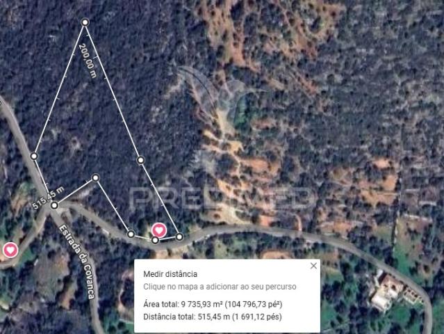 Terreno rustico em Loulé com 1ha e acesso directo da estrada