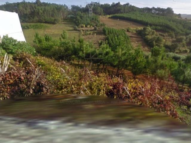 Terreno Rústico em Leiria, para construção confronta com estrada pública