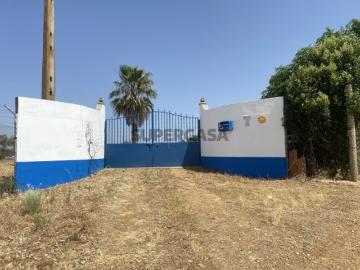Terreno Rustico em Moura, com dependência agrícola com eletricidade e agua do Furo e cada móvel