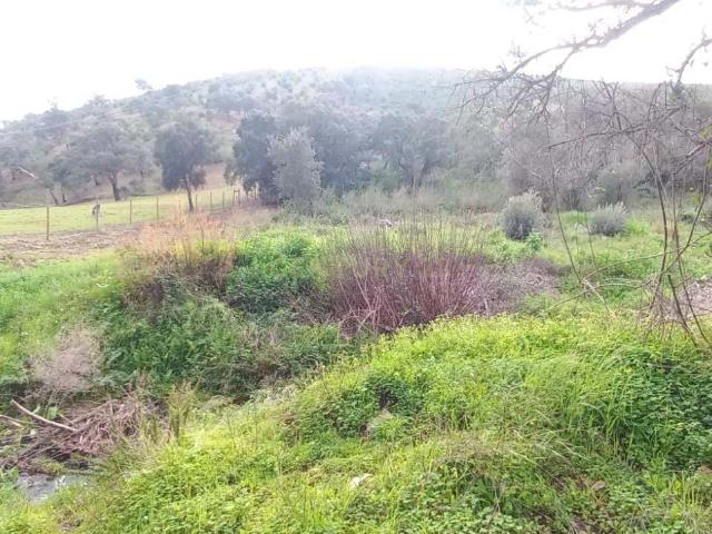 Terreno Rústico em Monchique com Vista para Montanha e Rio
