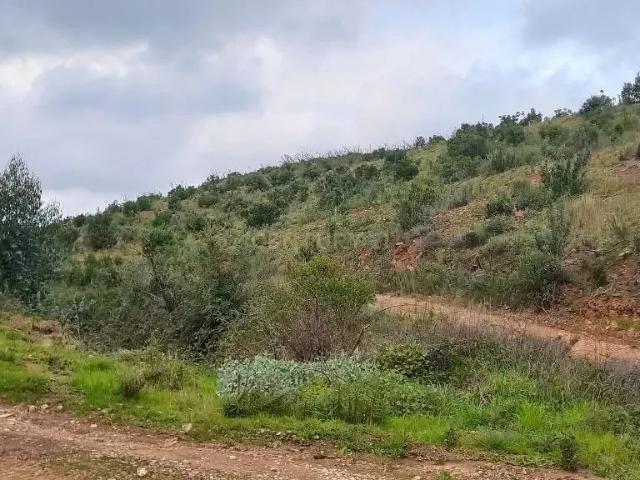 Terreno Rústico em Monchique com Vista para a Montanha