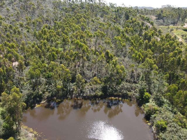 Terreno Rústico em Monchique com Vista para a Montanha