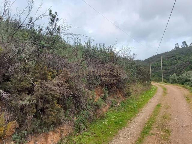 Terreno Rústico em Monchique com Água e Vista Deslumbrante