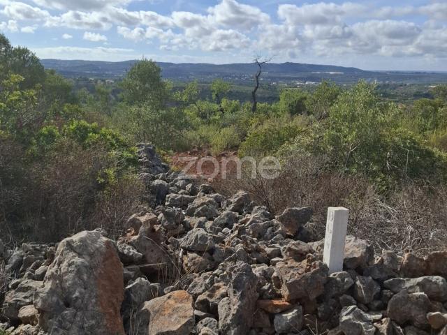 Terreno Rústico em Monte Brito com 18.390m2