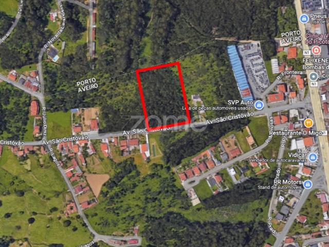 Terreno Rústico em Nogueira da Regedoura: Alto retorno do investimento