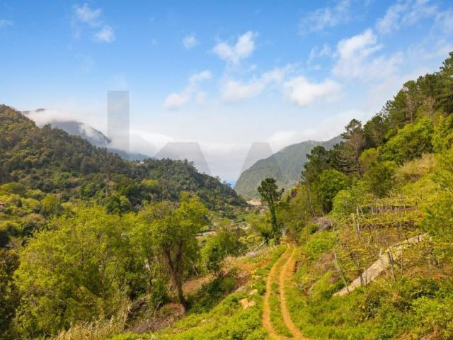 Terreno Rústico em S. Vicente Rosário O Seu Refúgio na Natureza