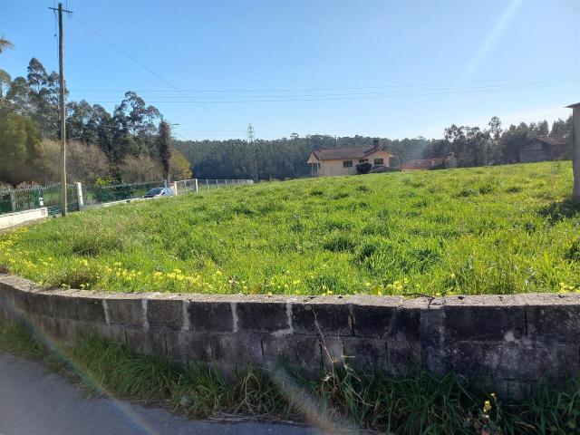 Terreno Rústico em São Martinho da Gândara, Oliveira de Azeméis