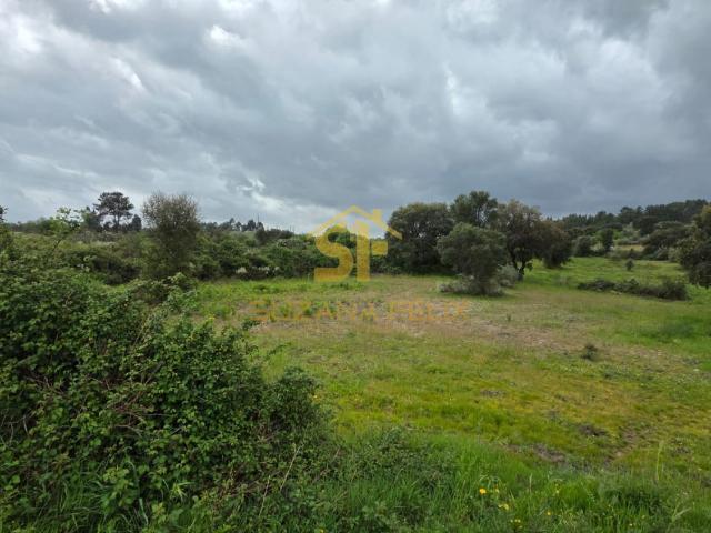 Terreno Rustico em Sobral do Campo