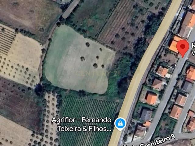 Terreno rústico em Samões