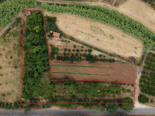 Terreno Rustico em Santo Estevão Silves
