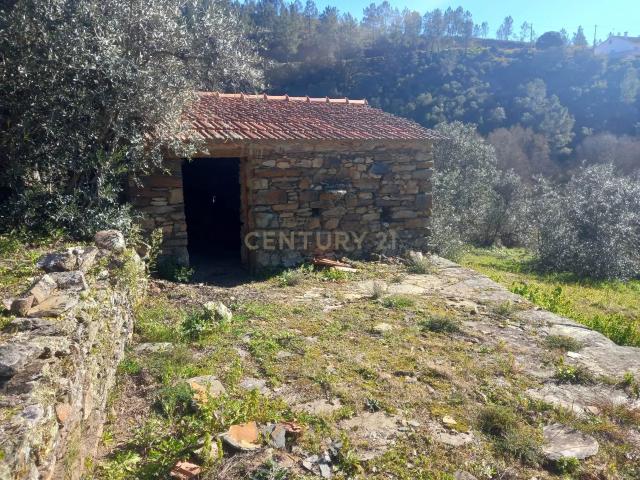 Terreno Rústico em Sarzedas, Castelo Branco Oportunidade Única