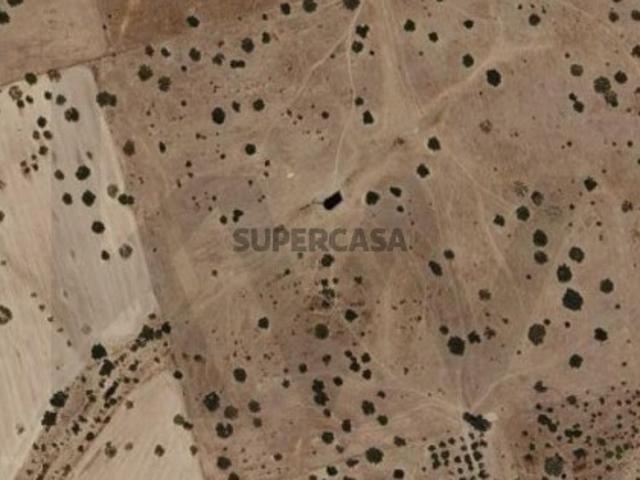 TERRENO RÚSTICO EM SERPA COM 7,6250 HA
