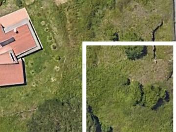 Terreno Rústico em Sintra: Localização Privilegiada e Tranquila Almargem do Bispo