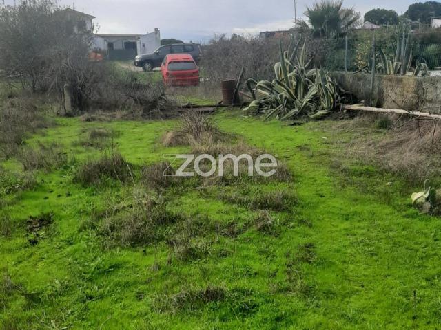 Terreno Rustico em Poceirão