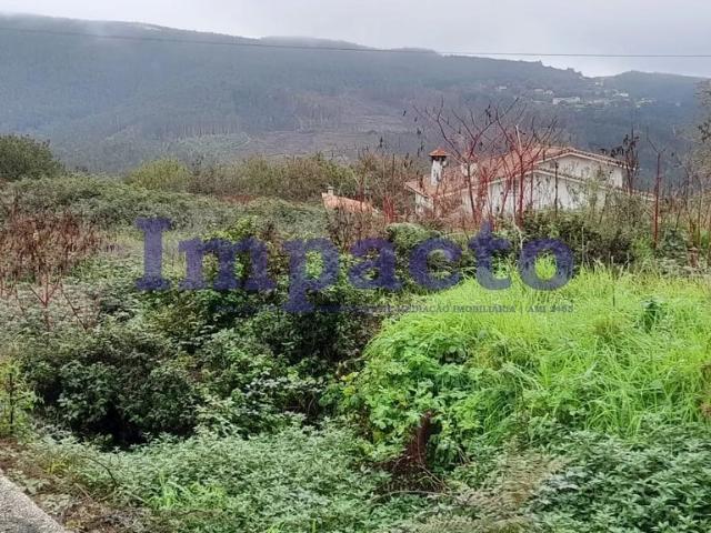 Terreno rústico em Palmaz, Oliveira de Azeméis
