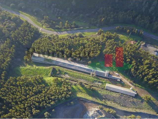 Terreno Rustico em Pé da Serra Rio Maior*RIOMAGIC