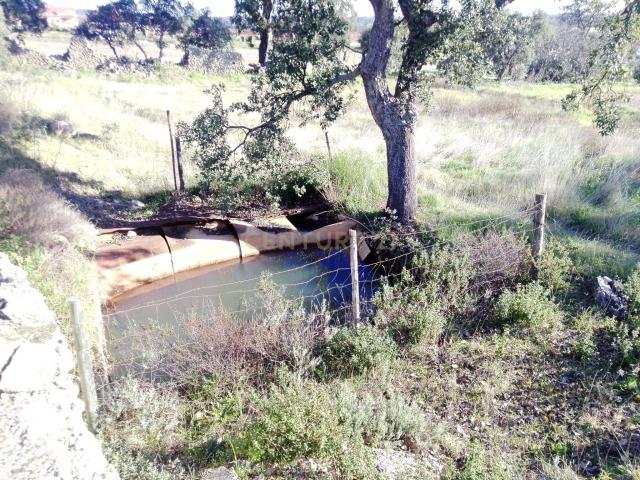 Terreno Rústico em Penha Garcia, Idanha a Nova| Castelo Branco